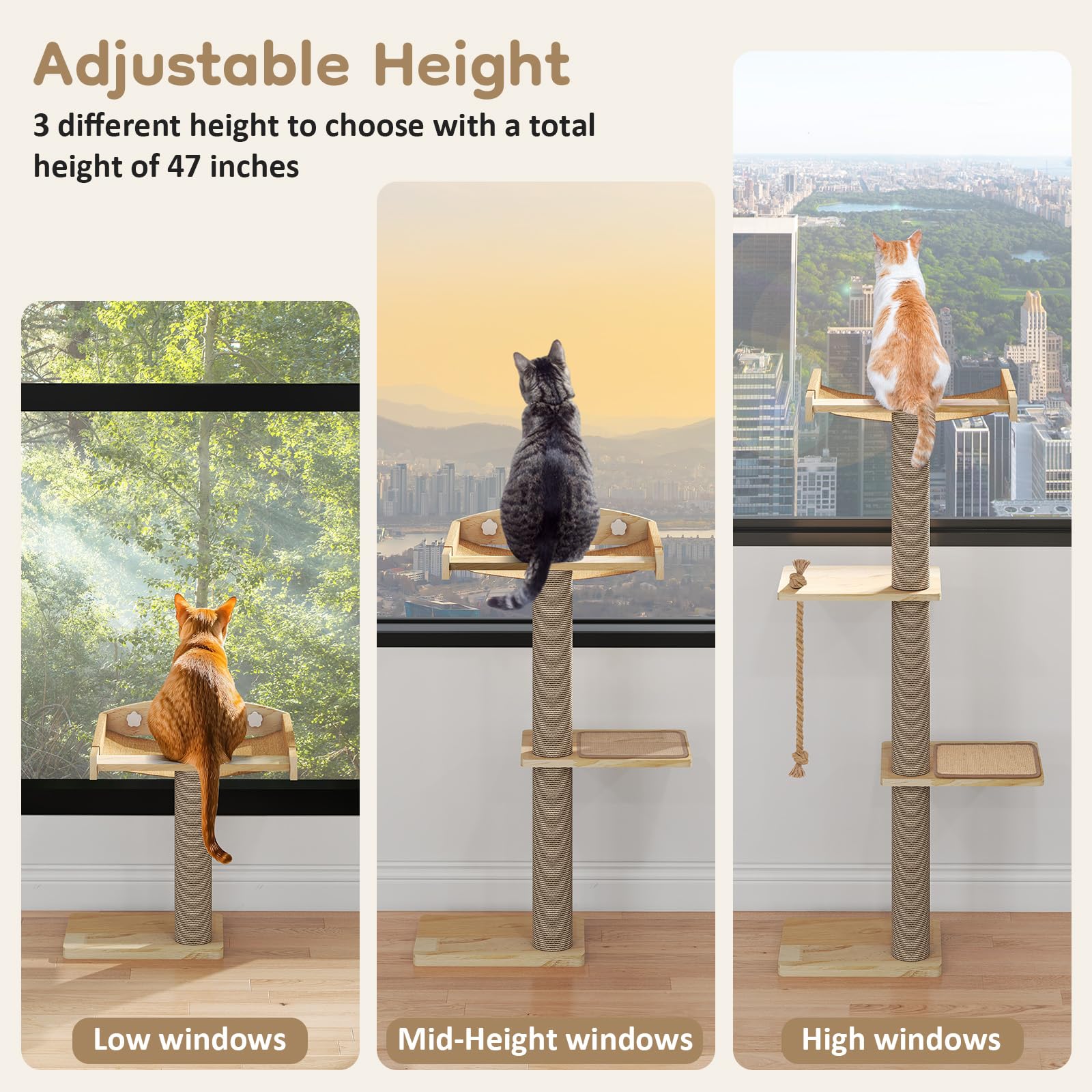 Yafylly ventouses perchoir chat assure une fixation fiable sur la vitre.