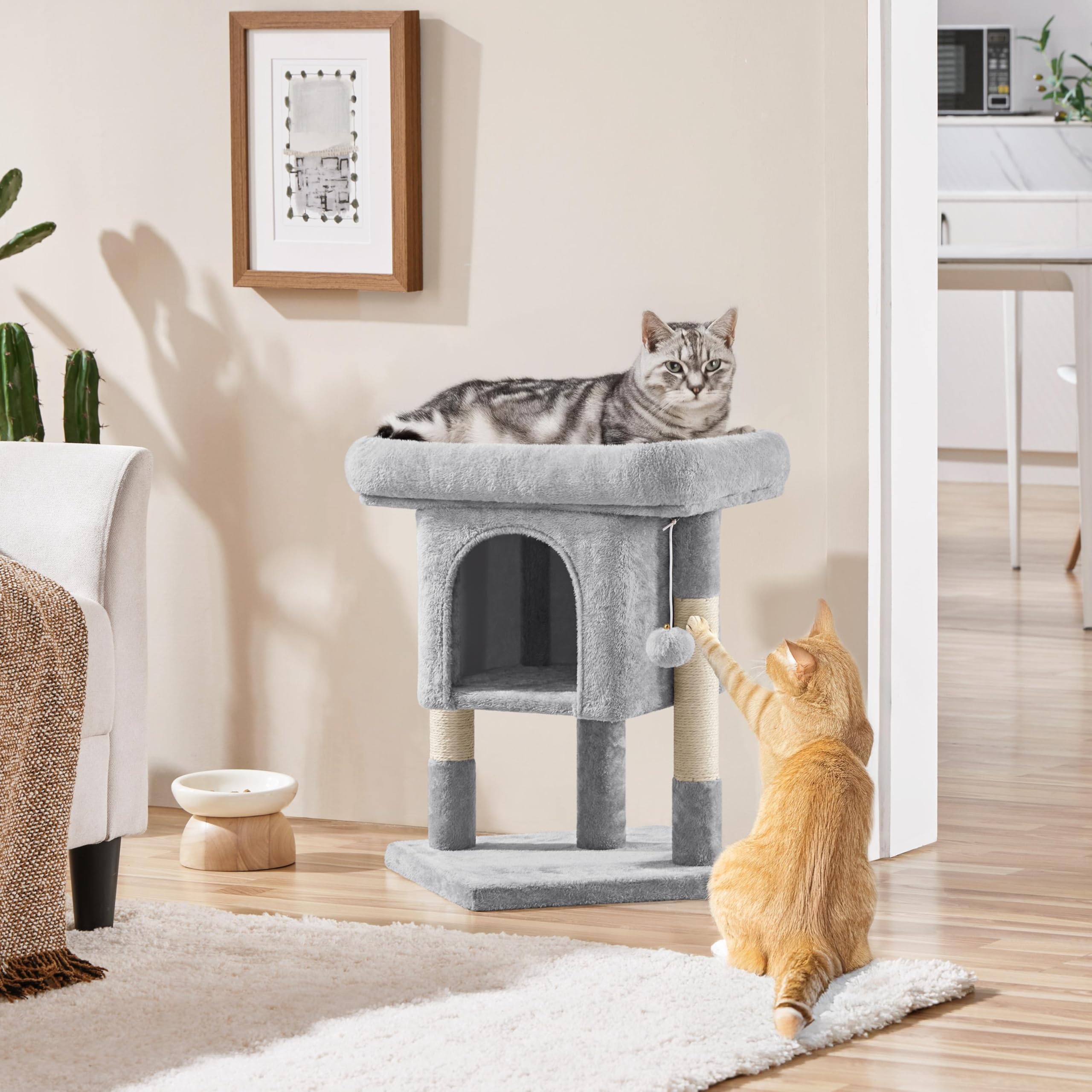 Yaheetech arbre-chat: condo-nid bas pour repos facile