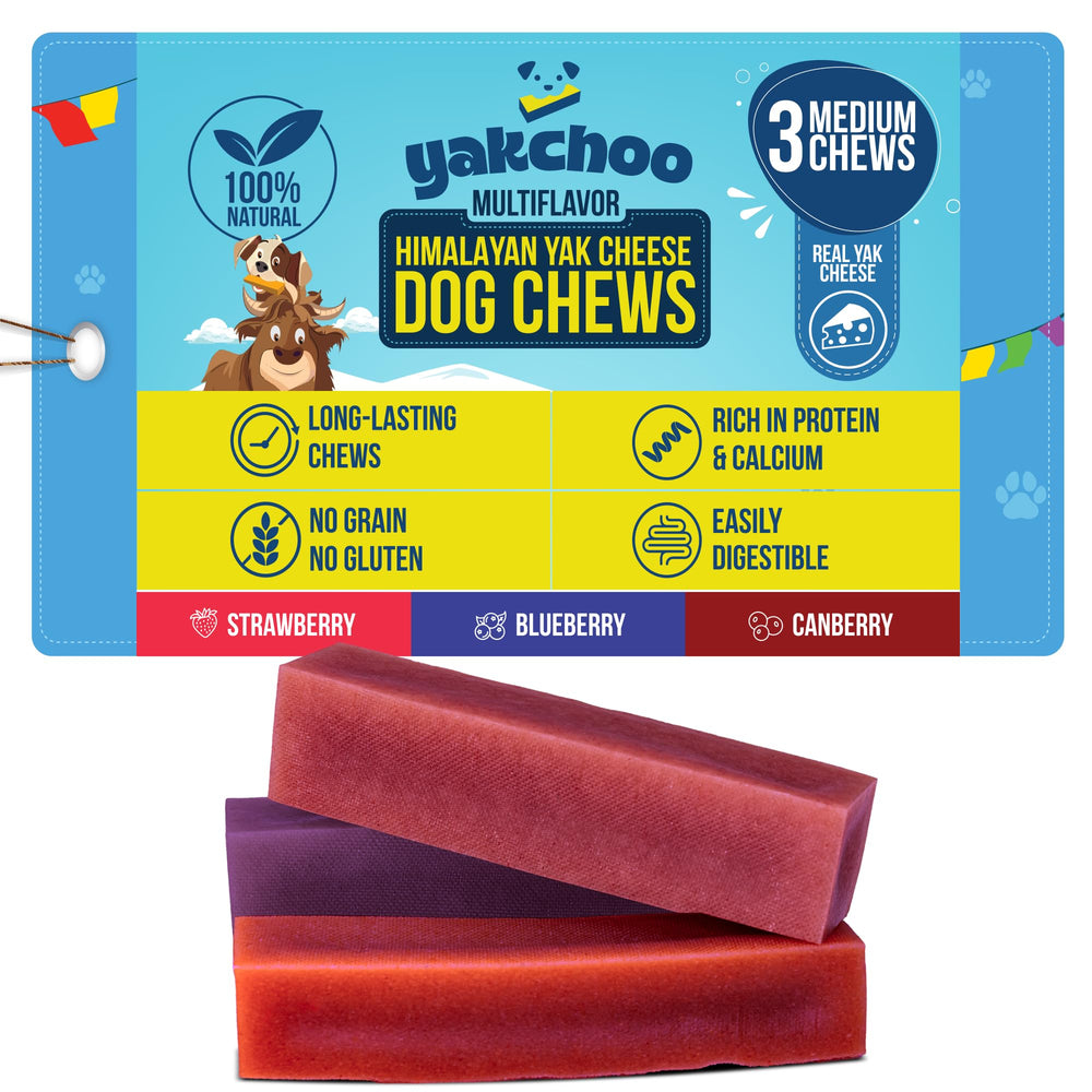 Friandises Yakchoo yak myrtille: récompense naturelle pour chien actif.