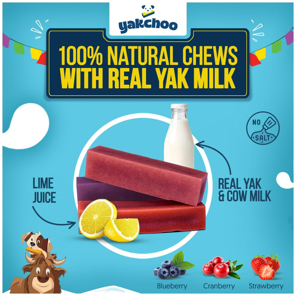 Pack Yakchoo de 3 barres 70 g: format pratique pour chiens.