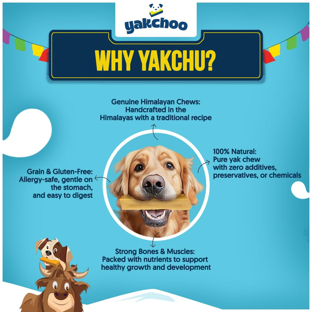Yakchoo sans cuir brut, option plus sûre et plus propre