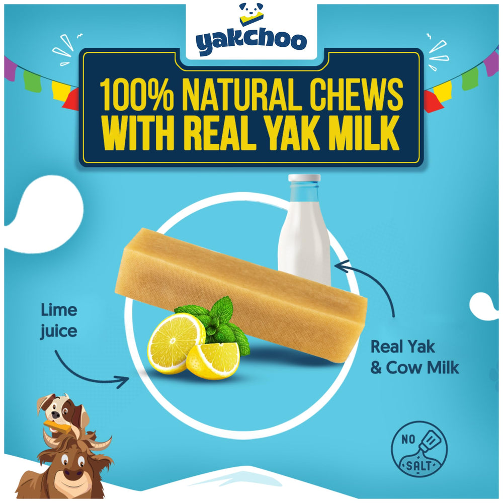 Yakchoo sans gluten ni lactose pour chiens sensibles