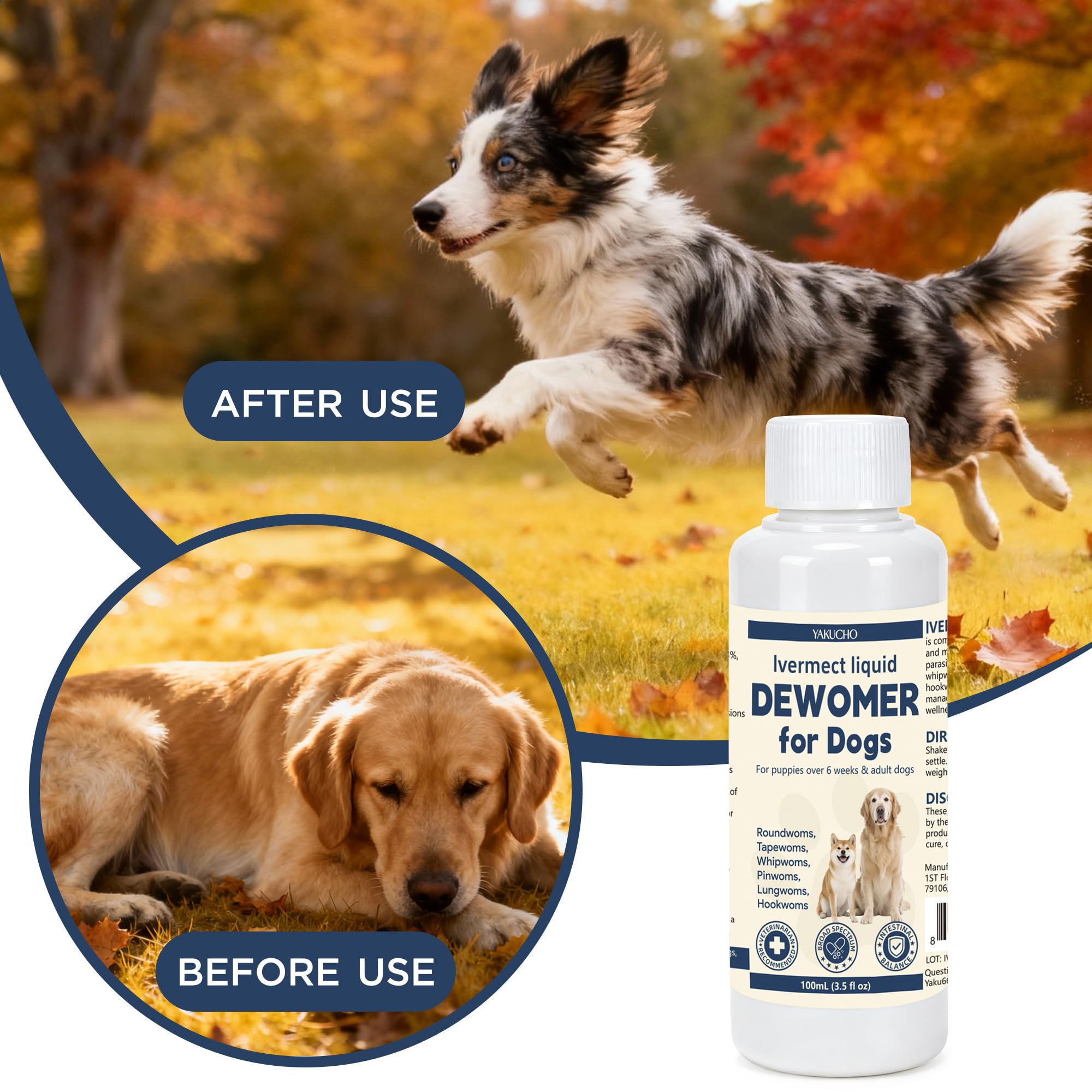 Yakucho Dewomax – utilisation quotidienne sans additifs, facile à mélanger dans nourriture ou eau.