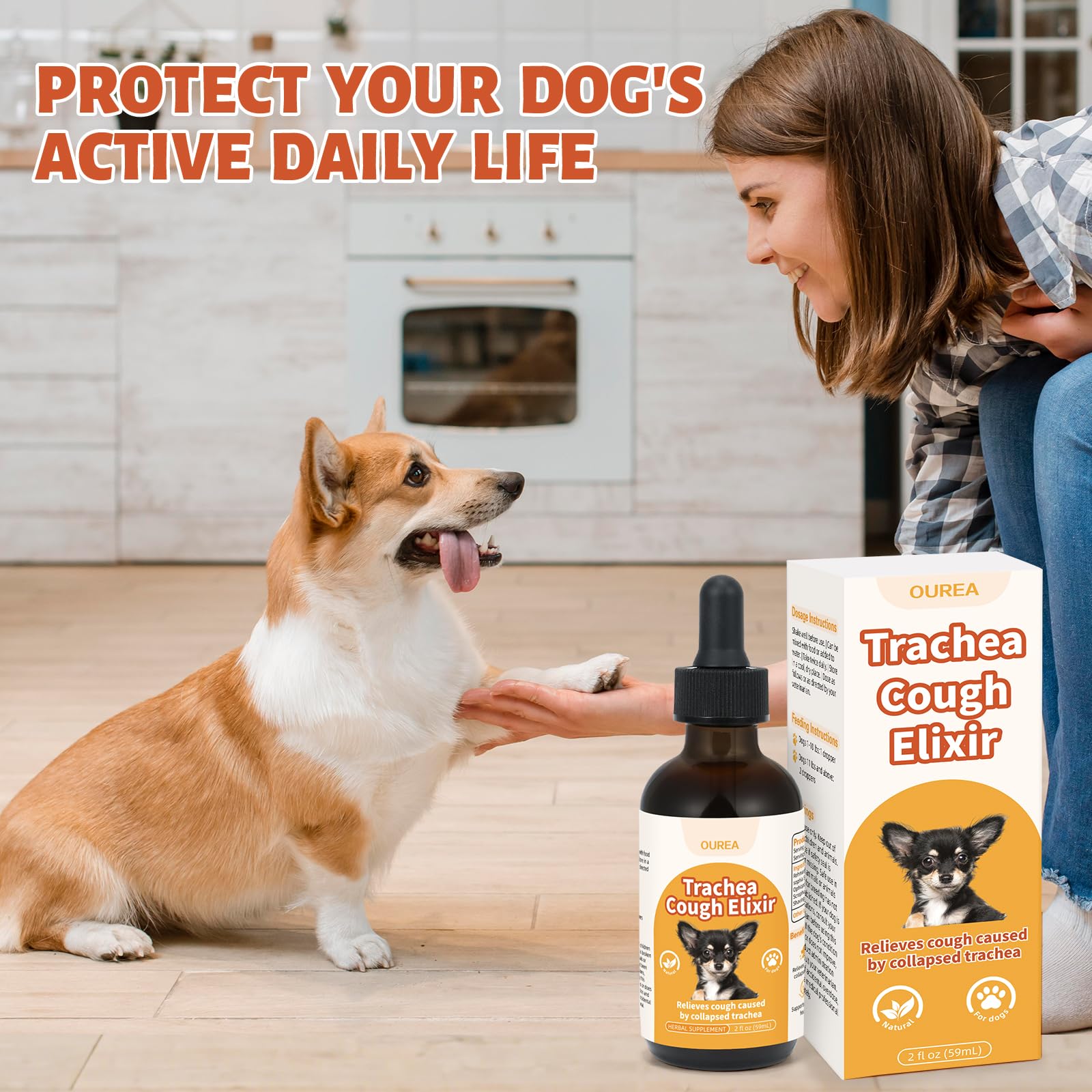 Dosage précis des gouttes Yakucho pour la trachée du chien.