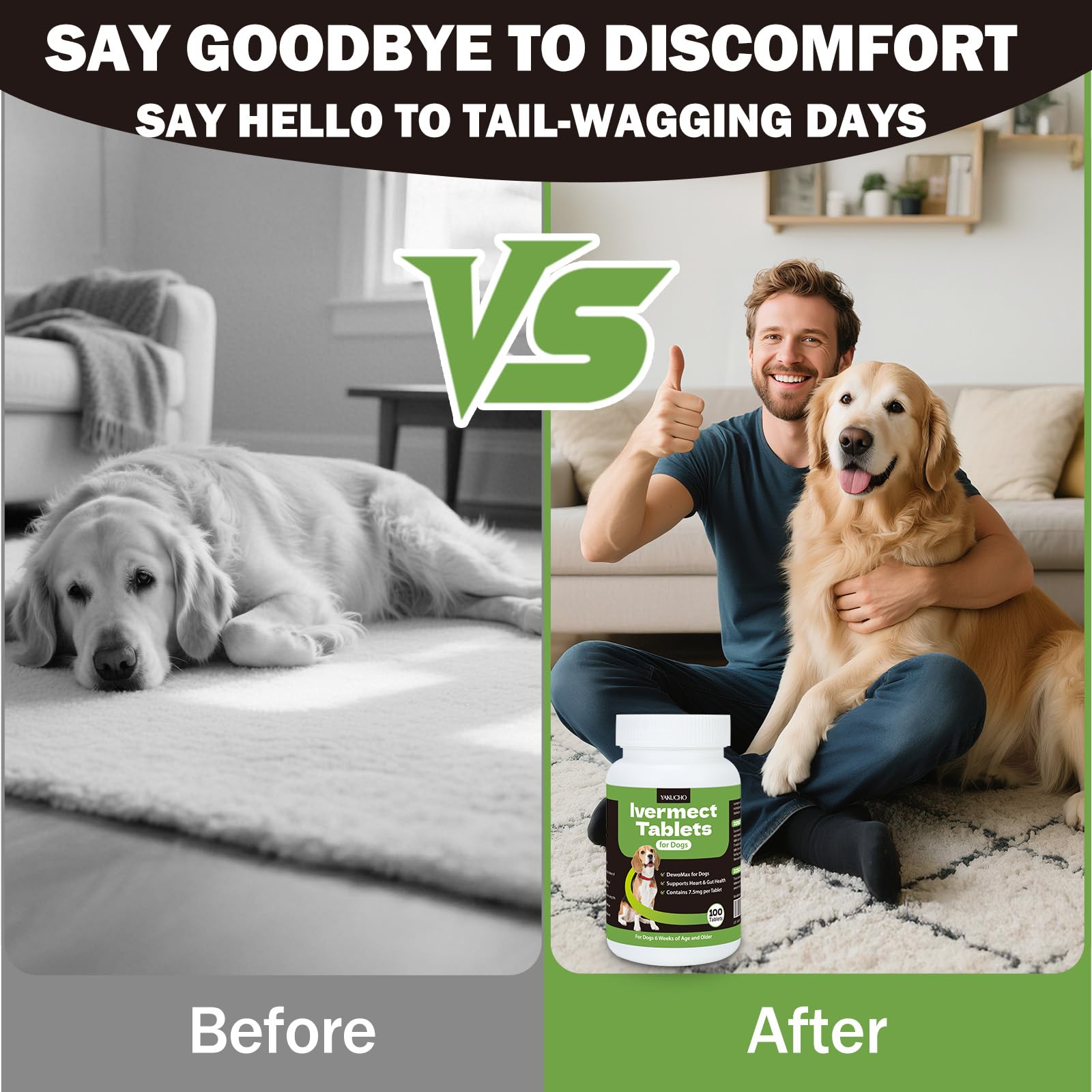 Soutien digestif possible avec les comprimés Yakucho Lvermect pour chien.
