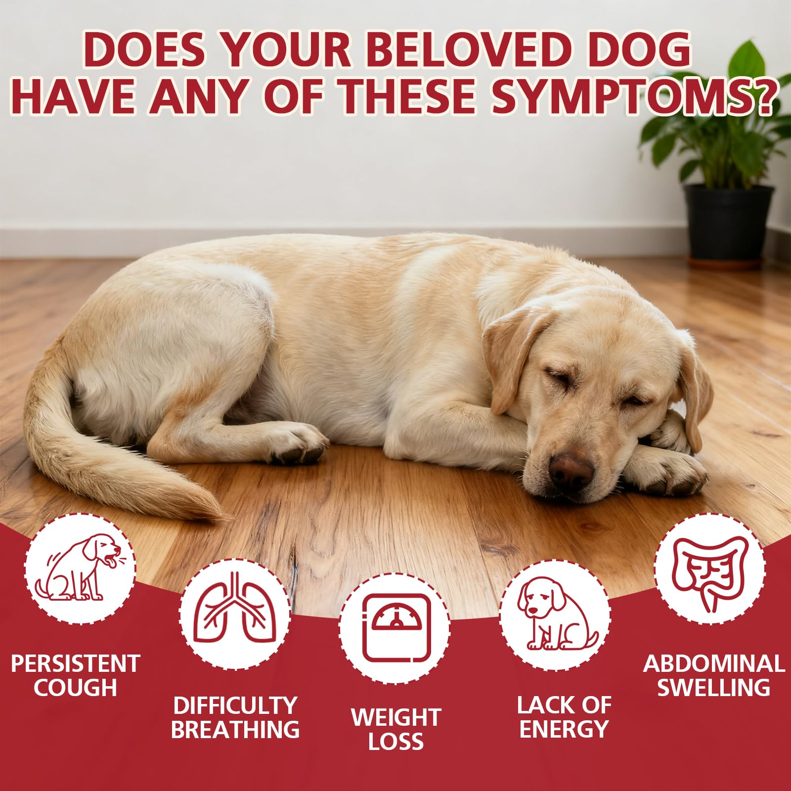 Yakucho lvermect pour chien, emballage clair facilitant l’utilisation fiable.