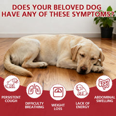 Yakucho lvermect pour chien, emballage clair facilitant l’utilisation fiable.