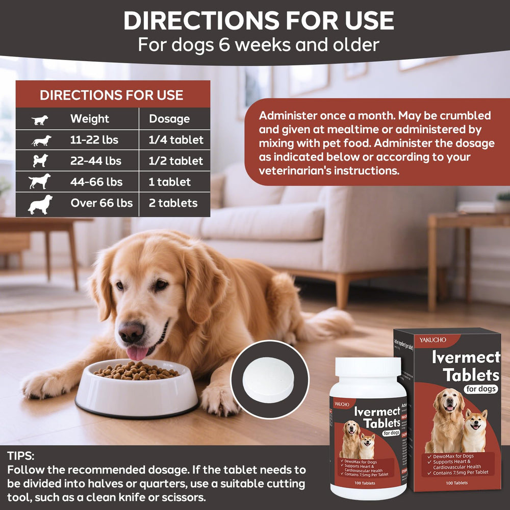 Utilisation quotidienne simple avec Yakucho intégrée à la routine du chien.
