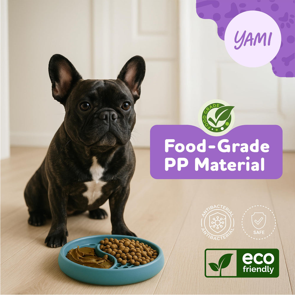 Stimulation et enrichment des repas avec YAMI, engagement prolongé.