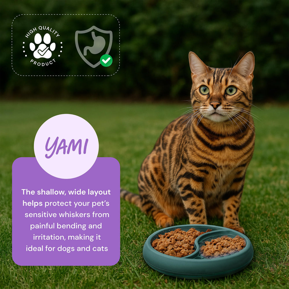 Jouet d’enrichissement YAMI pour chiens et chats, activité mentale positive.