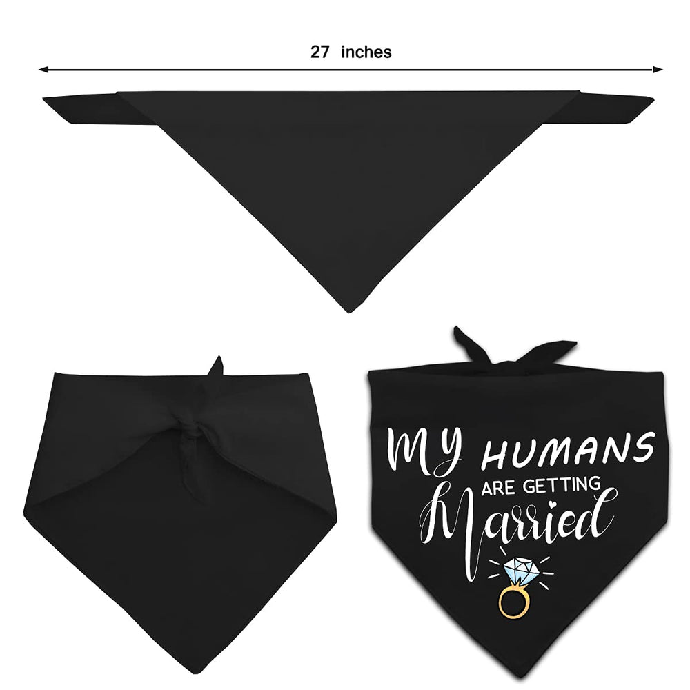 Bandana chien cadeau fête Yangmics Direct – idéal à offrir