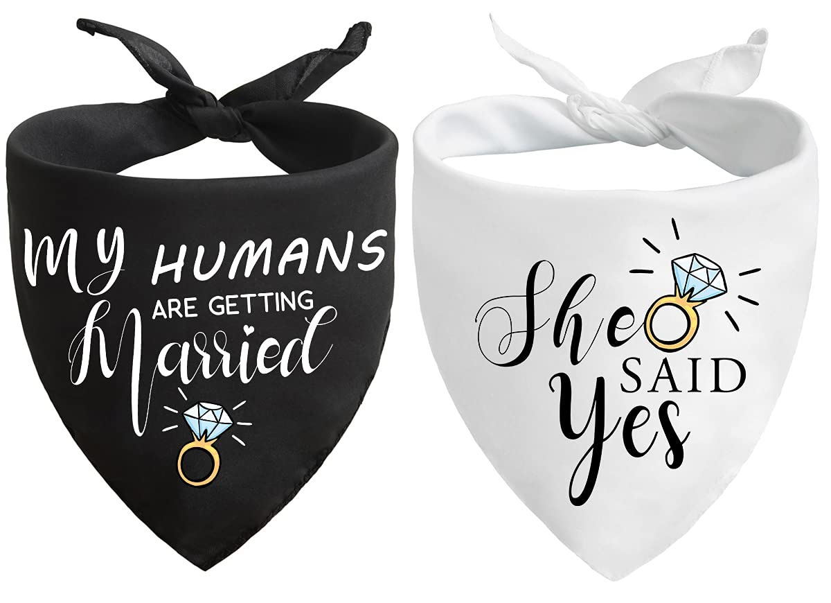Bandana chien engagement photo Yangmics Direct – parfait pour des clichés romantiques