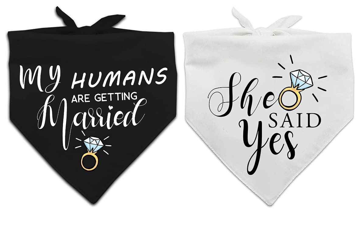 Bandana chien mariage Yangmics Direct – accessoire chic pour la cérémonie