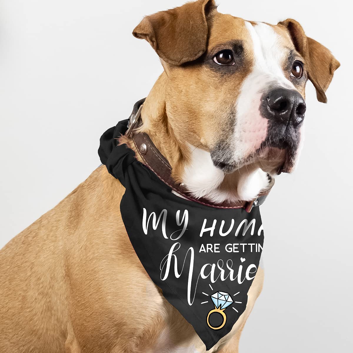 Tissu doux Bandana Yangmics Direct – confort et fraîcheur en été