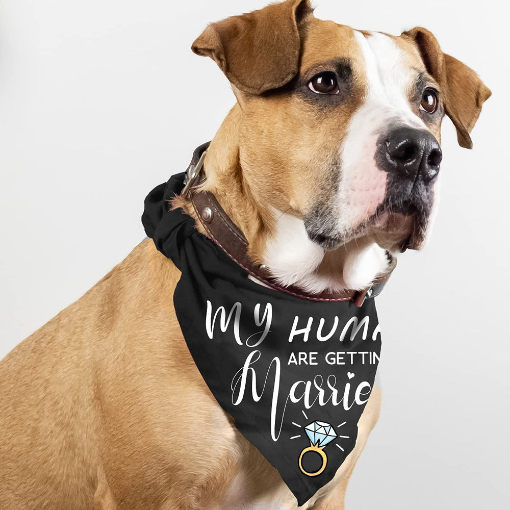 Tissu doux Bandana Yangmics Direct – confort et fraîcheur en été