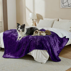 Yaning Matière double-face Sherpa et Flanelle, couture durable et résistance.