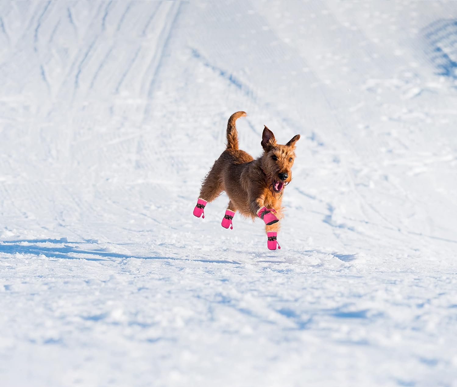 YAODHAOD bottes chien hiver rose semelle antiderapante — traction sur sols.
