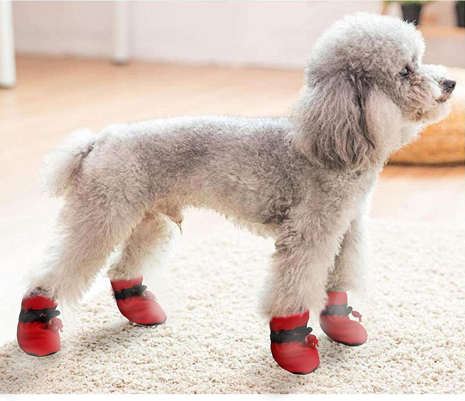 Utilisation quotidienne des bottes YAODHAOD pour chien en sécurité et confort nocturne.