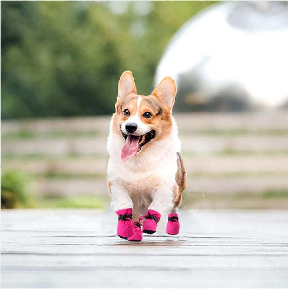 YAODHAOD bottes chien petit rose enfilage facile et protection antiécrasement