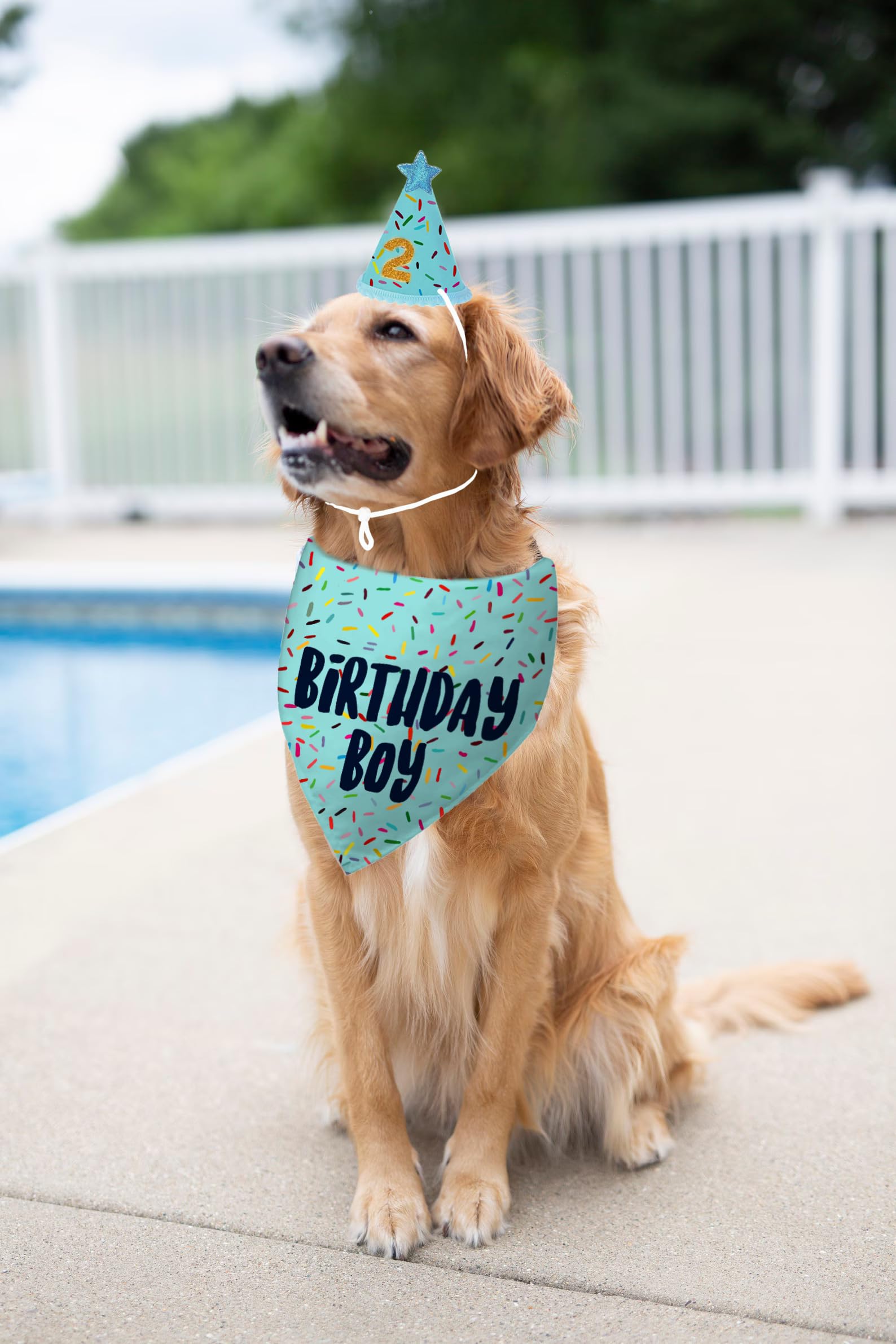 Yaofavo bandana anniversaire chien bleu — cadeau idéal pour célébrer