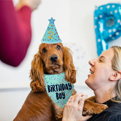 Yaofavo bandana bleu chien — détail couture et finition soignée
