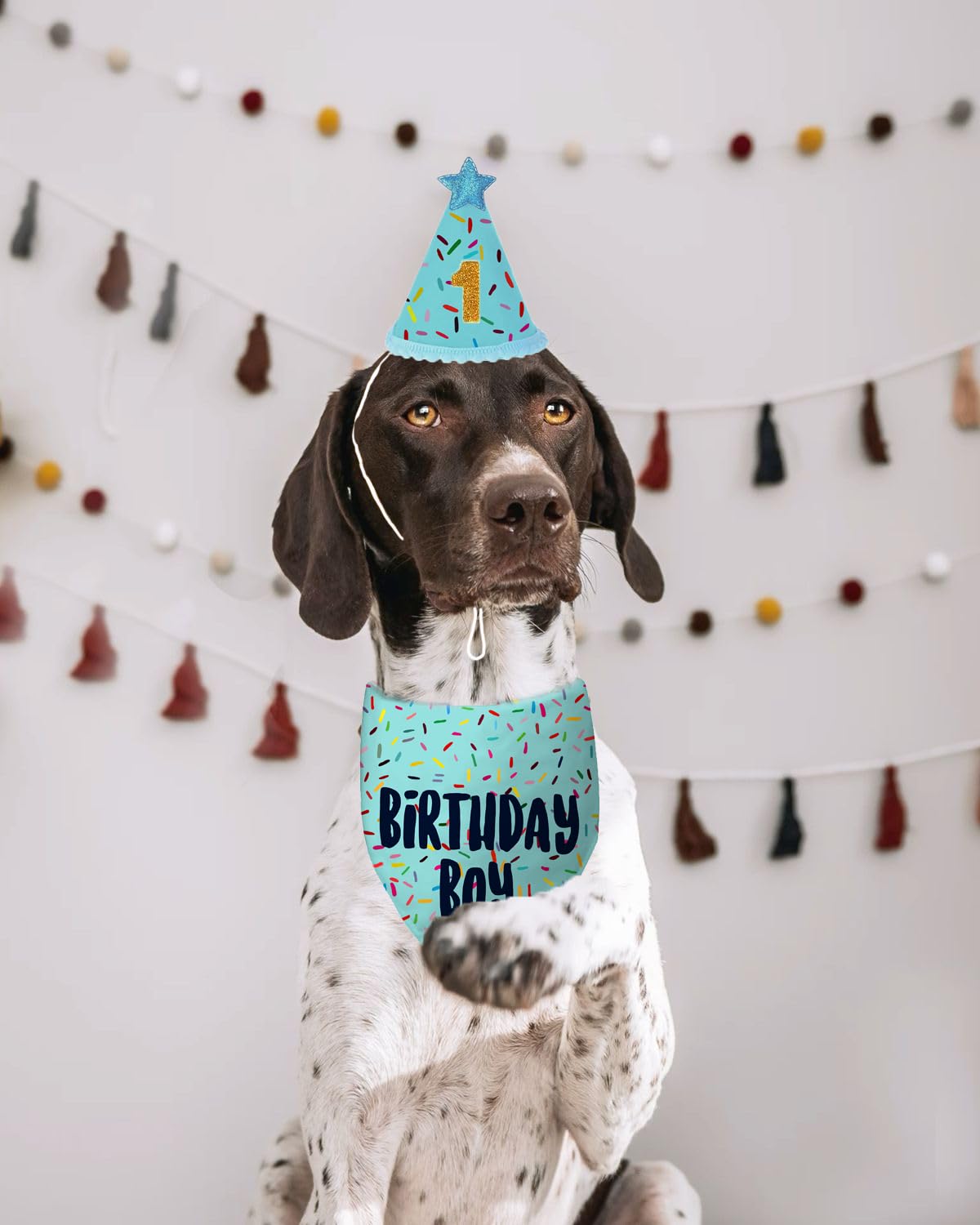 Yaofavo bandana bleu chien — design réversible et durable