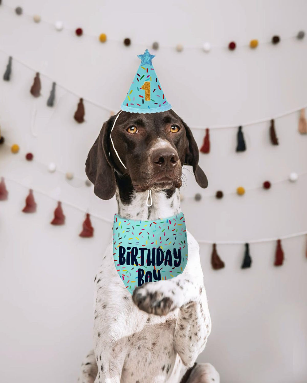 Yaofavo bandana bleu chien — design réversible et durable
