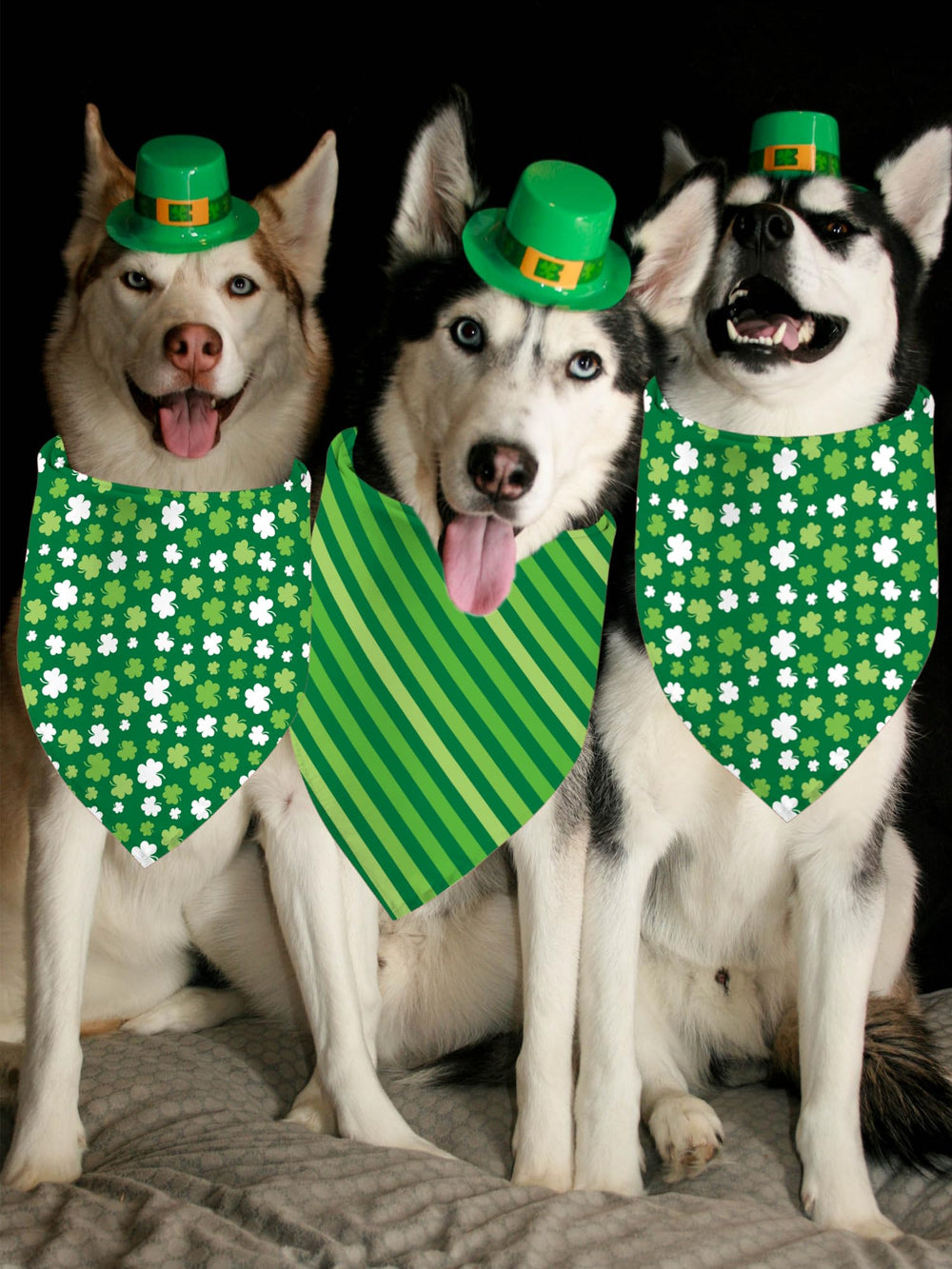 Idéal pour Saint-Patrick, séances photo et cadeaux canins Yaofavo.