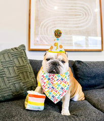 Yaofavo chapeau anniversaire chien, inscription C’est mon anniversaire.