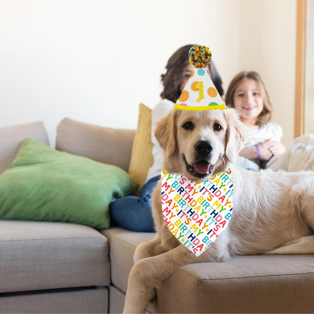Yaofavo photo anniversaire chien, parfait pour des souvenirs joyeux.