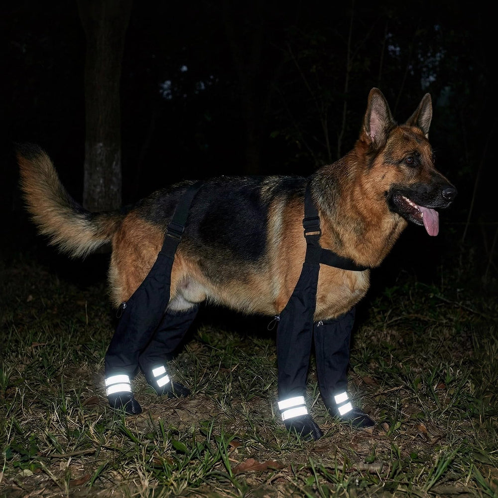 YAQUHO bottes pour chien grand antiderapantes pour grip sur sol lisse