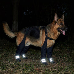 YAQUHO bottes pour chien grand antiderapantes pour grip sur sol lisse