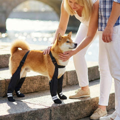 YAQUHO bottes pour chien grand reglables pour un ajustement confortable