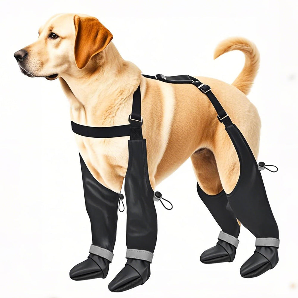 YAQUHO bottes suspendues pour chien grand offrent une traction fiable sur surfaces mouillées.