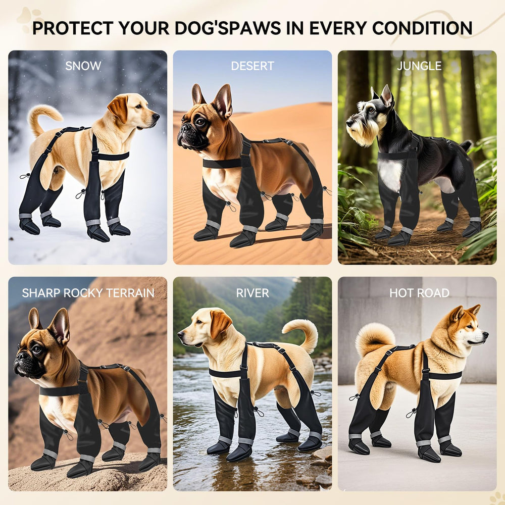 YAQUHO protection des pattes contre le froid et terrains rugueux.