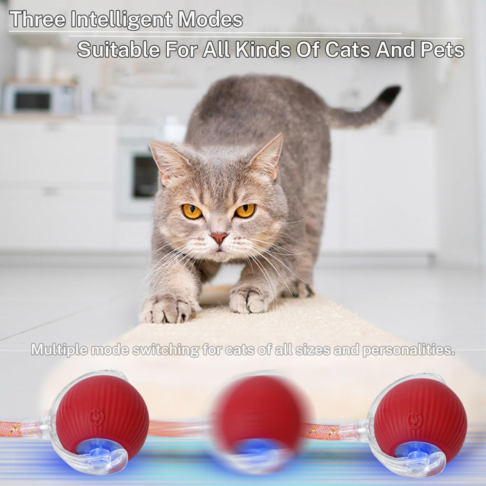 Boule Yaruiguang moteur puissant sur tapis bleu, mouvements rapides sur sols.