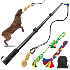 Ycozy baton-flirt-chien-retractable en action pour des séances dynamiques en plein air.