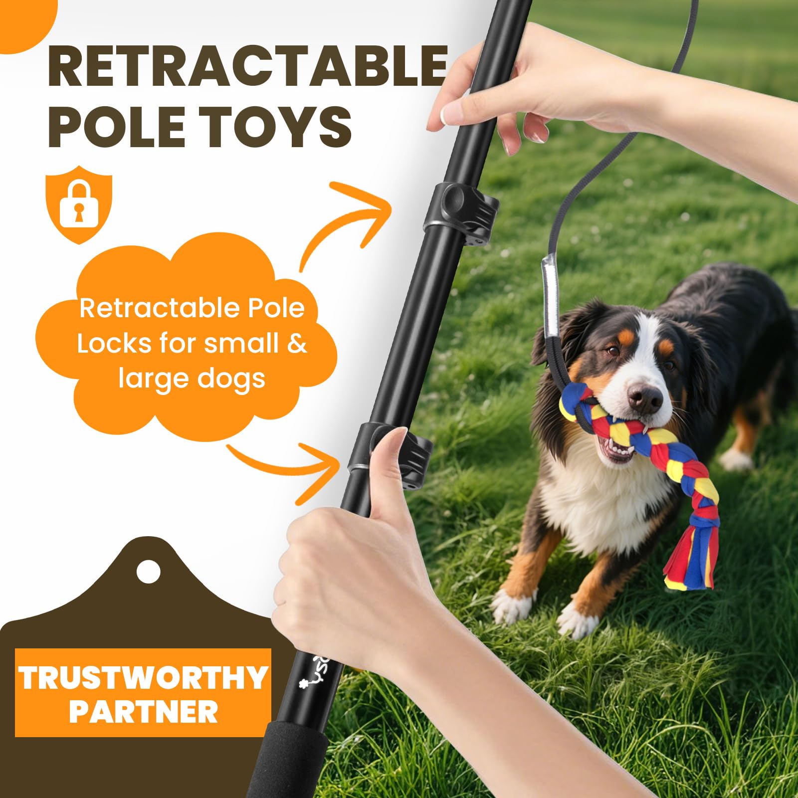 Ycozy baton-flirt-chien-telescopique-40-6, longueur ajustable pour garder une distance sûre.