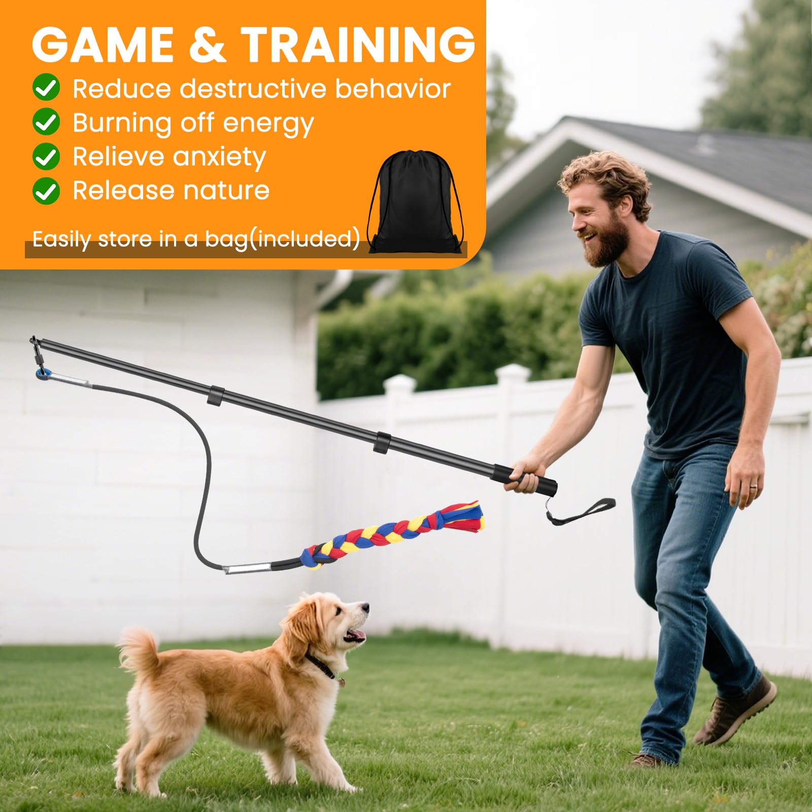 Ycozy exercice-exterieur-chien, sessions d'entraînement ludiques en plein air.