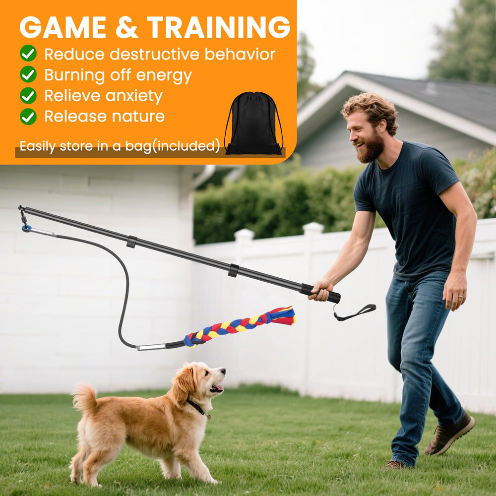 Ycozy exercice-exterieur-chien, sessions d'entraînement ludiques en plein air.