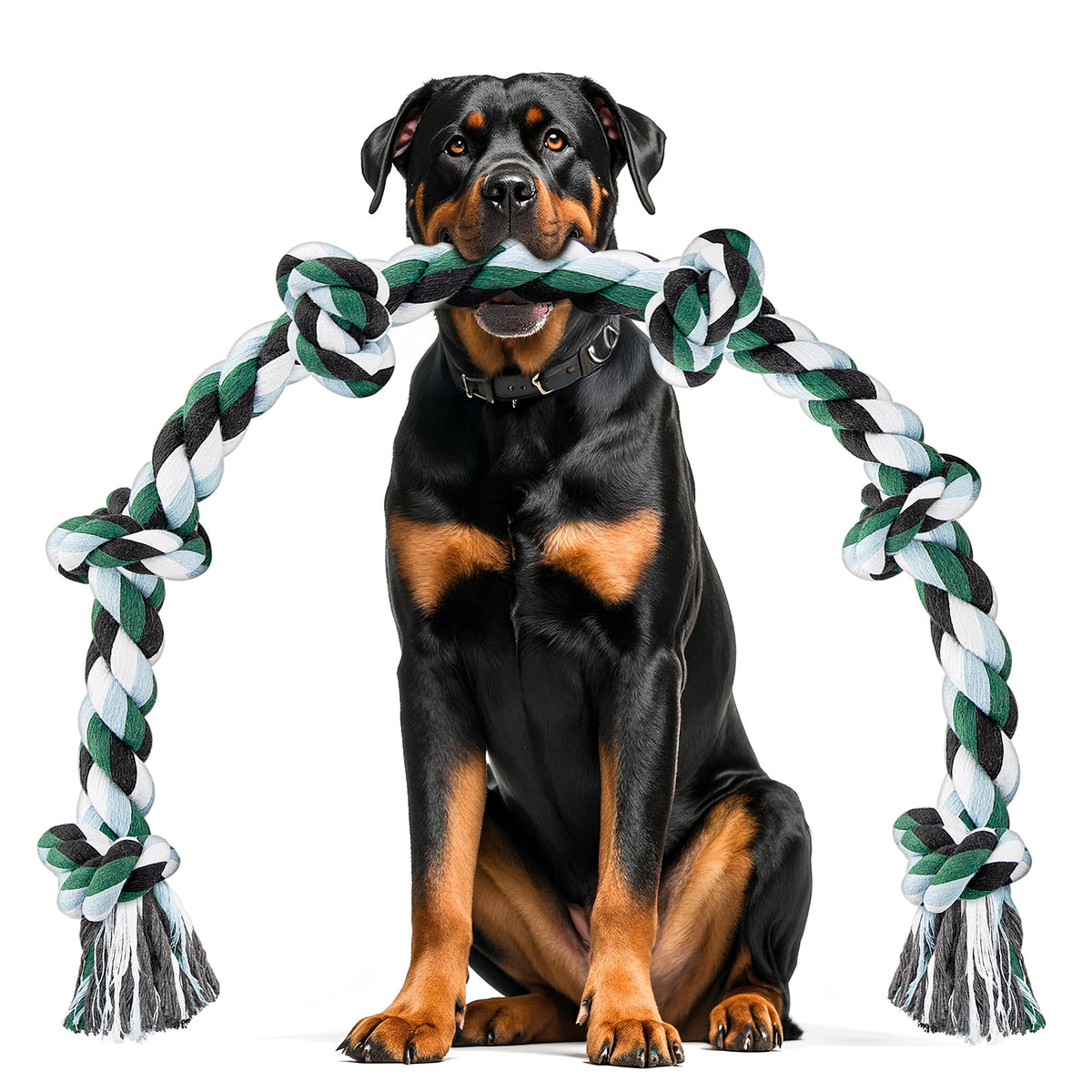 Jouet corde Ycozy pour chien, 6 nœuds et 40 pouces, parfait pour jeux robustes.