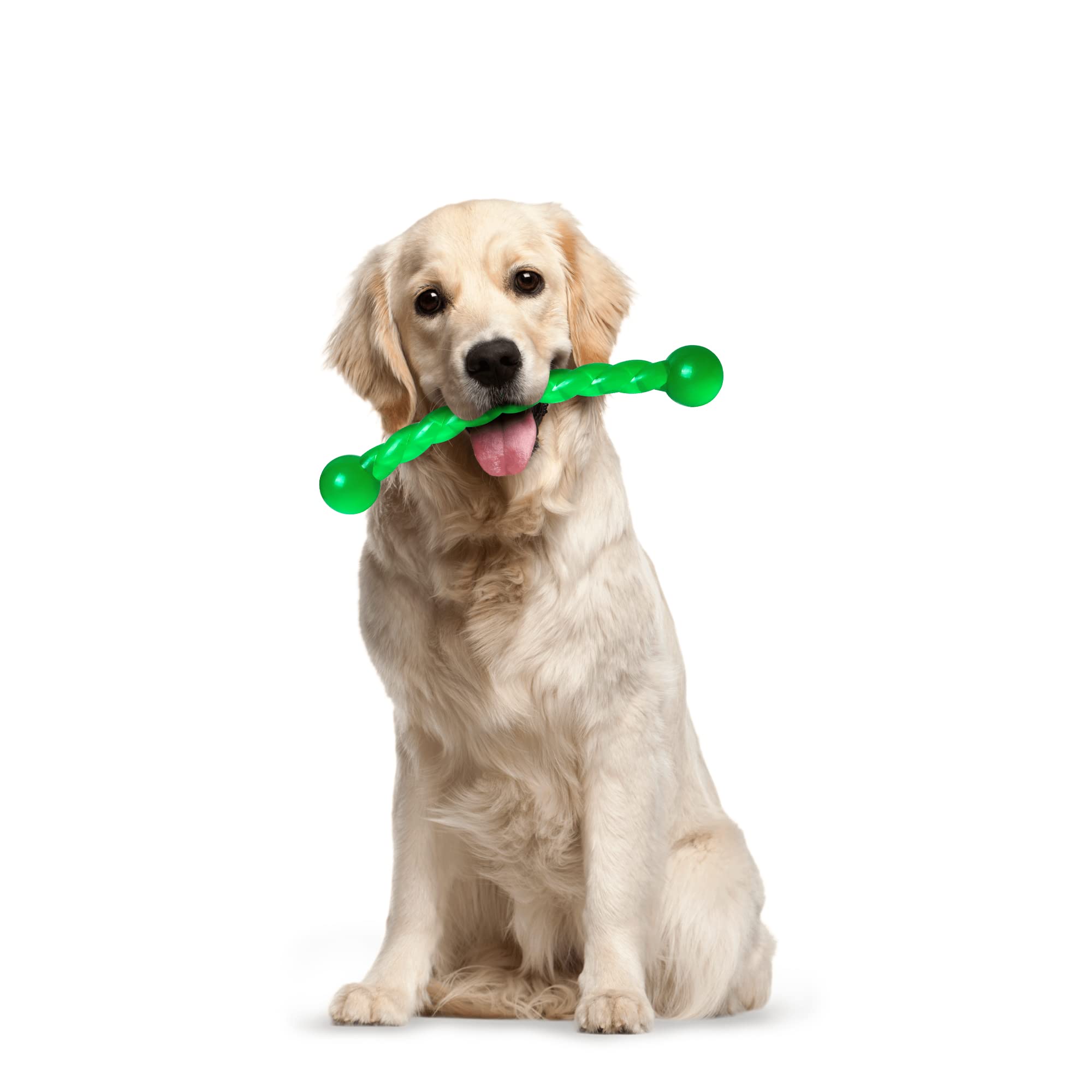 Jouet Ycozy petit et moyen chien caoutchouc 11 pouces