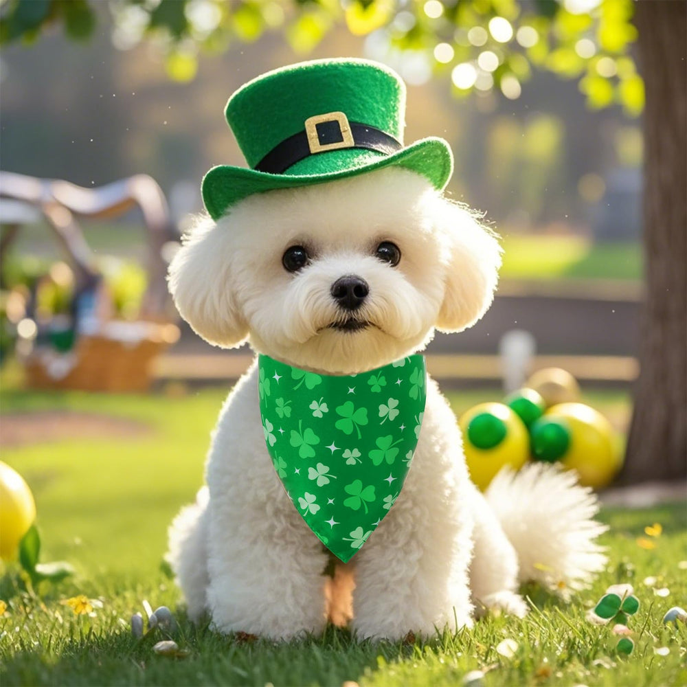 Bandana double-face Yeabwps Saint-Patrick, face verte et orange, style polyvalent.