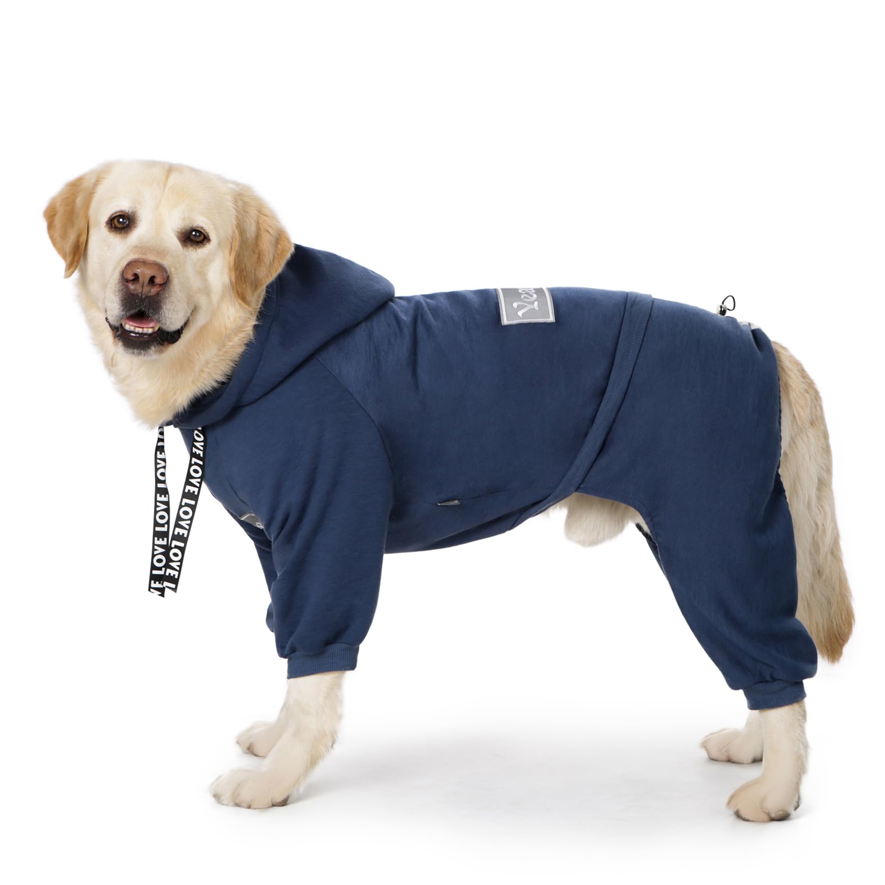 Yeapeeto hoodie chien en action: chaleur lors des sorties.