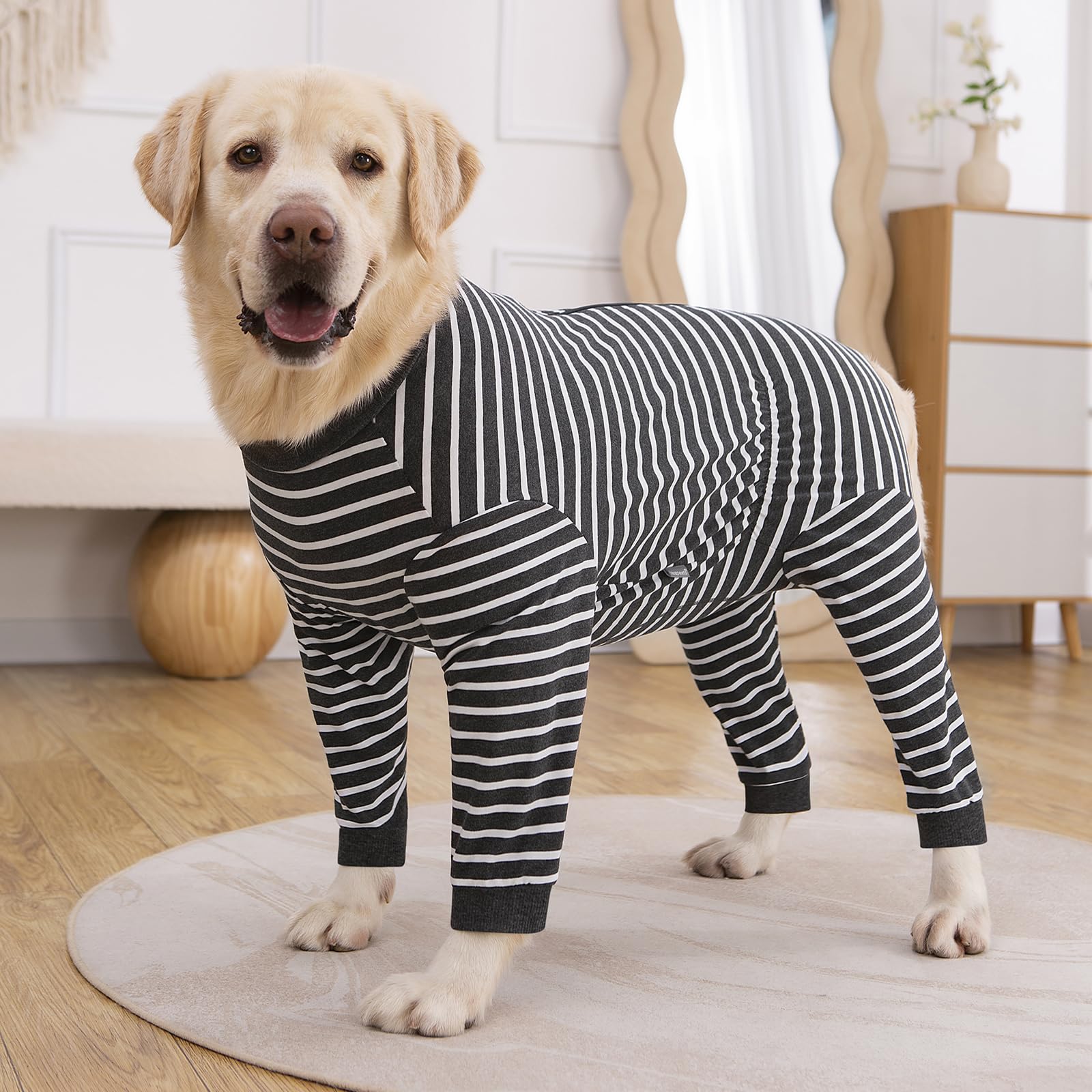 Yeapeeto chien portant vetement recovery, usage polyvalent en sorties et repos