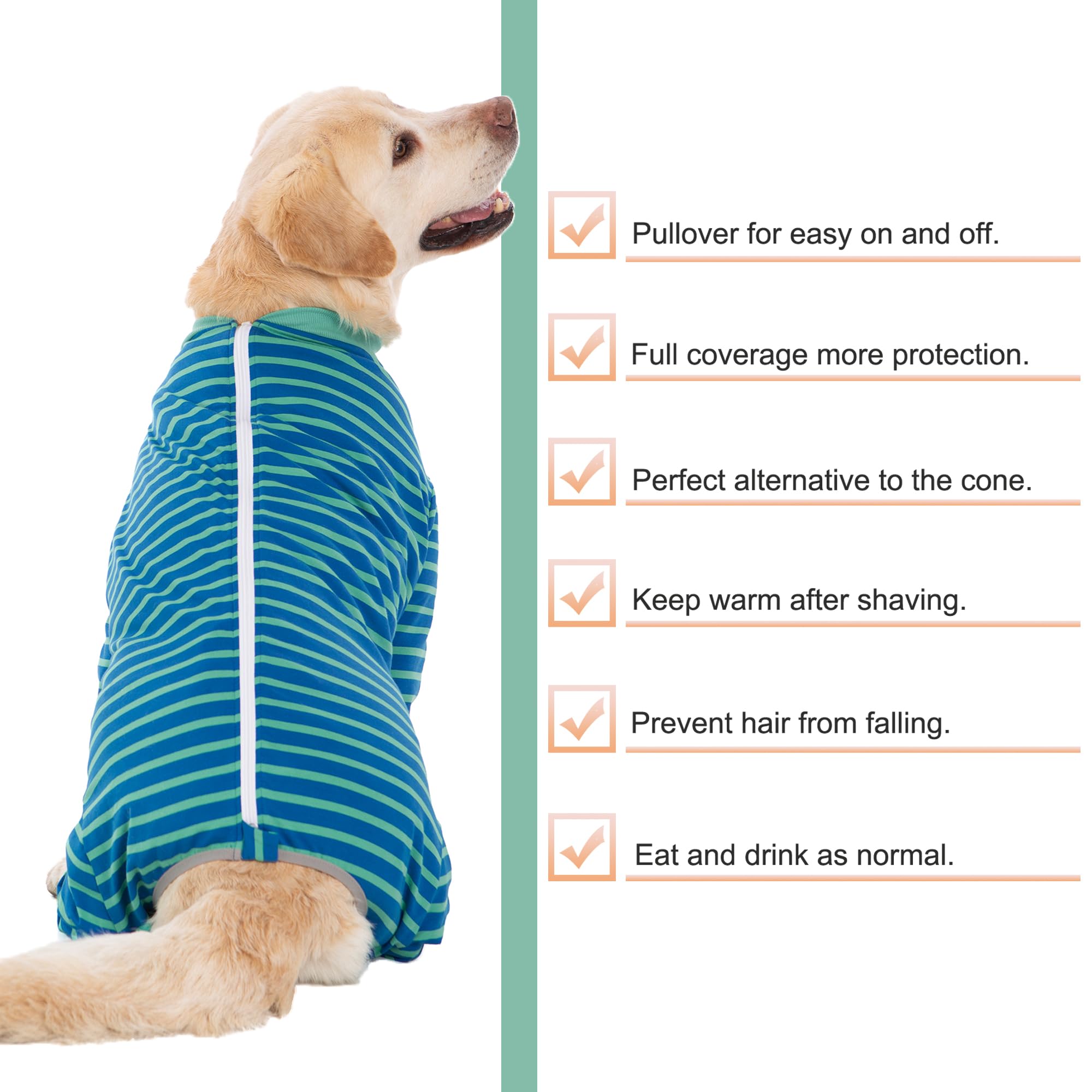 Yeapeeto combinaisons chien récupération – confort au quotidien lors repas et repos.