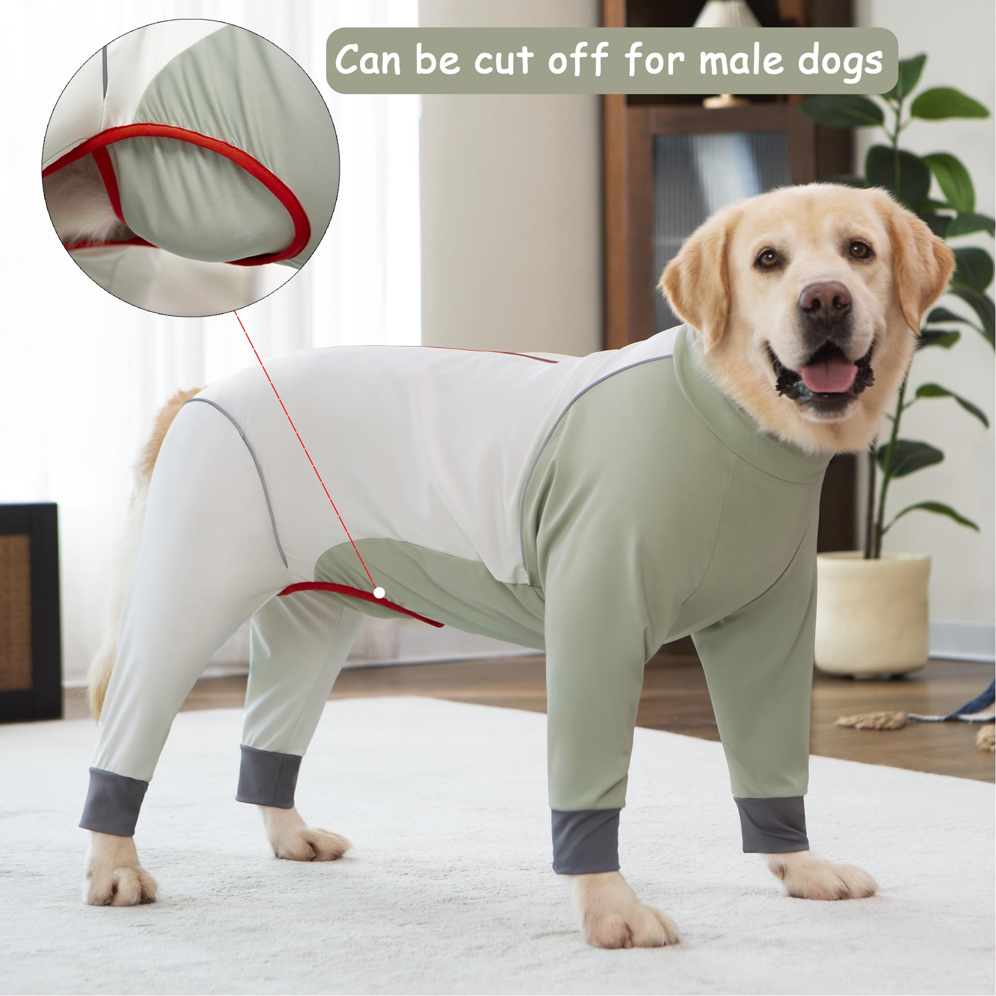 Yeapeeto Combinaison chien réduction poils: aide à limiter la mue.