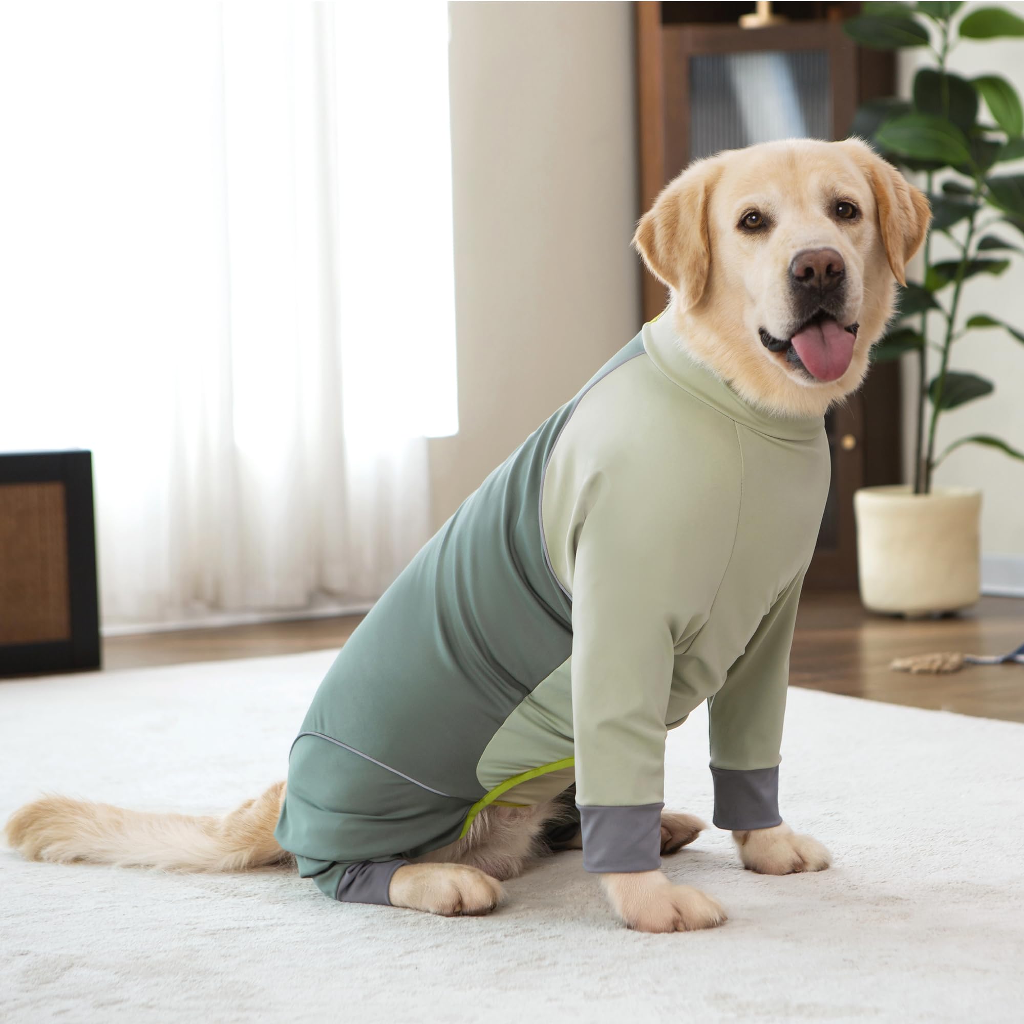 Yeapeeto Combinaison Chien Vert Olive Lavage Facile - lavage en machine rapide.