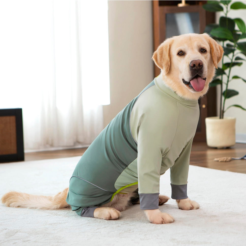 Yeapeeto Combinaison Chien Vert Olive Lavage Facile - lavage en machine rapide.
