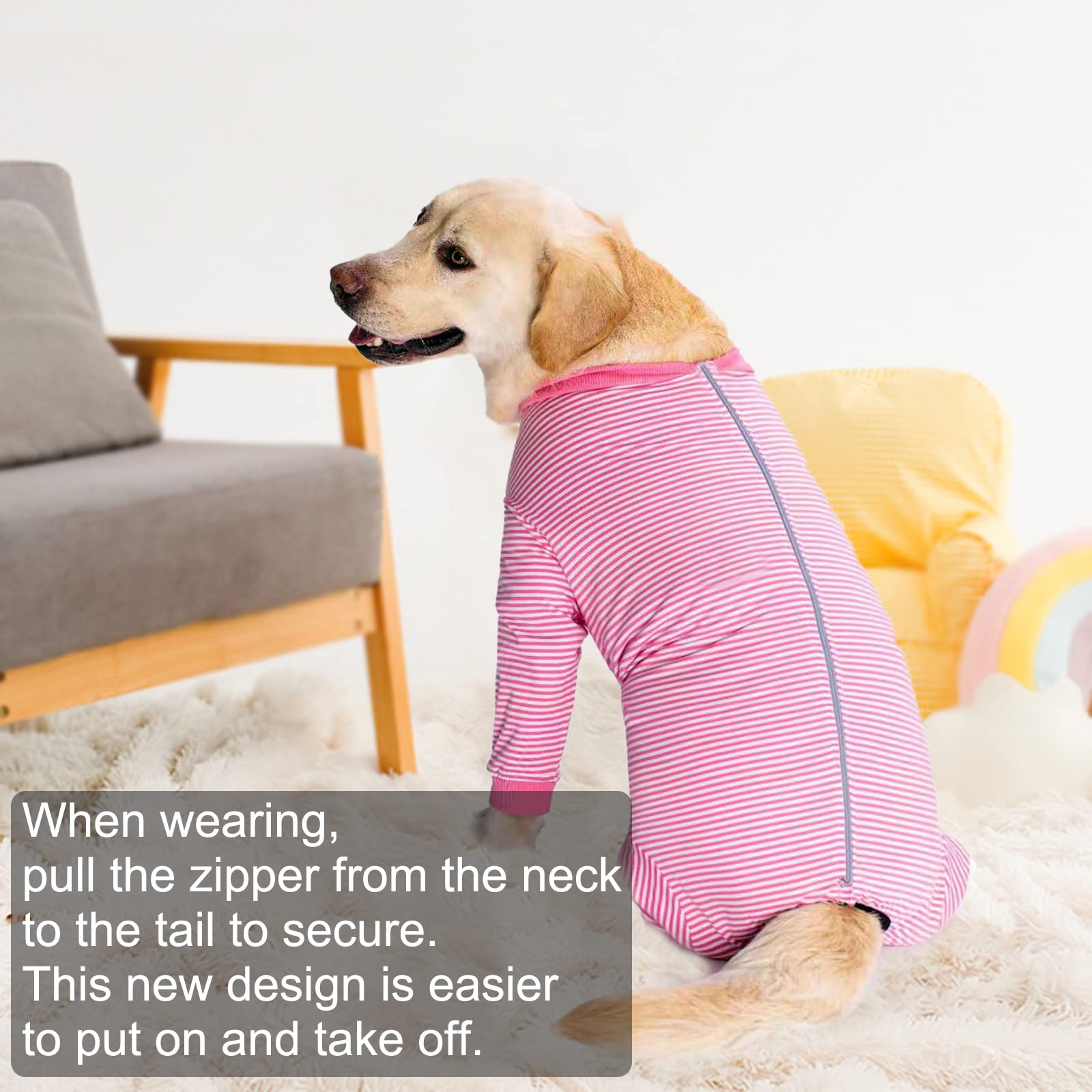 Yeapeeto design abdominal rond facilitant les besoins du chien.